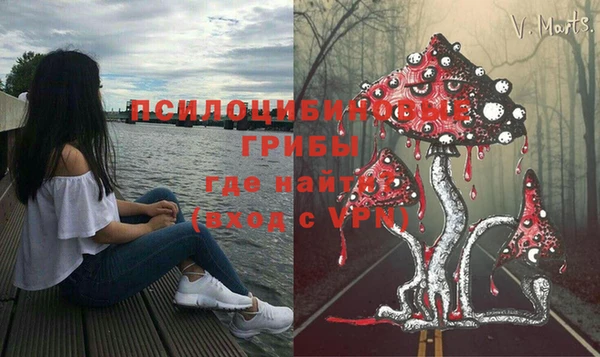 герыч Алексин