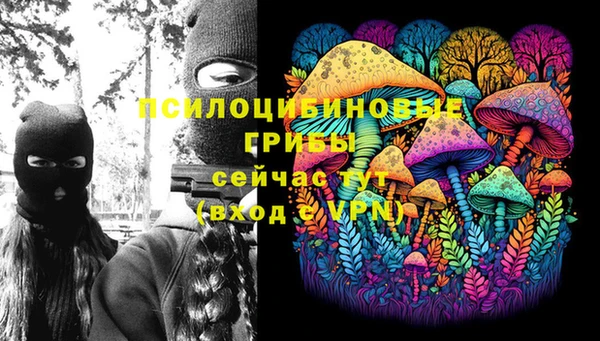 герыч Алексин