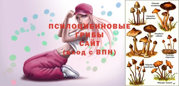герыч Алексин