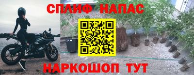 spice Бузулук