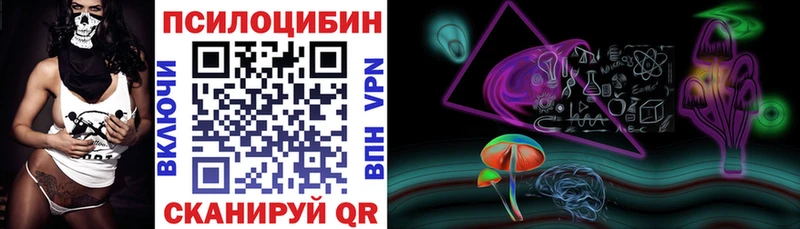 Псилоцибиновые грибы Cubensis  что такое   Березники 