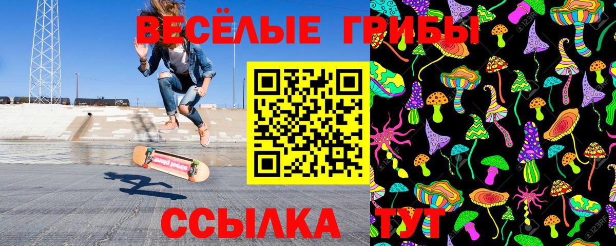 где найти   Вход с VPN  Березники  Псилоцибиновые грибы ЛСД 